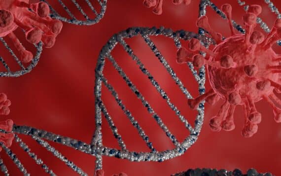 Infecciones Transmisión Sexual Comunes