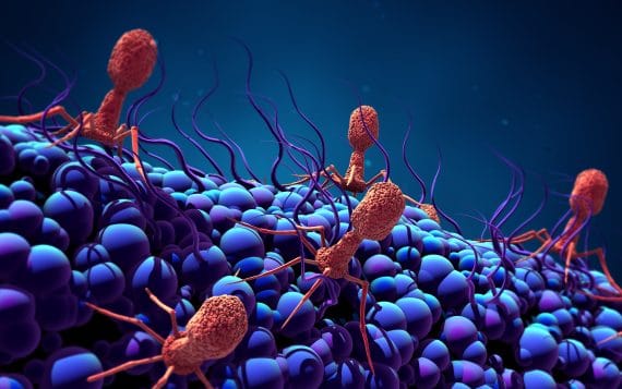 ¿Cómo se utilizan los bacteriófagos en medicina?