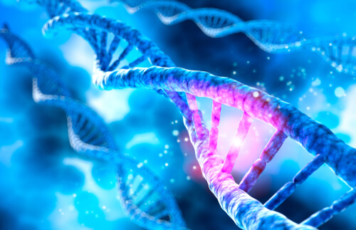 CSGE Conformation-Sensitive Gel Electrophoresis