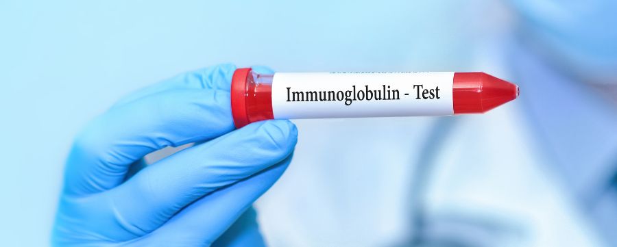 Inmunoglobulina